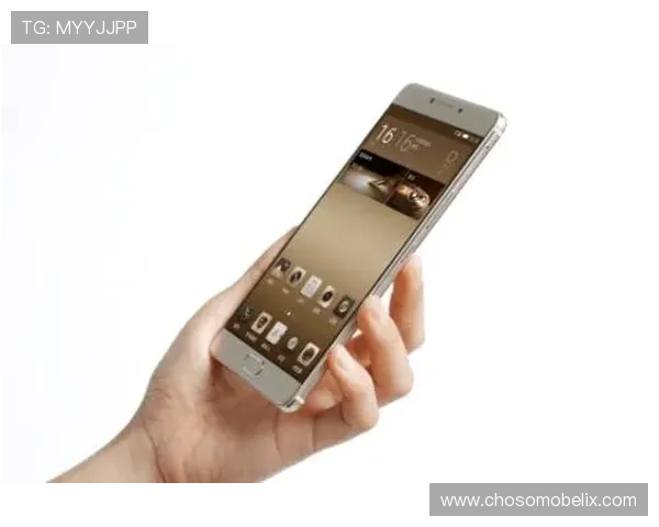 凯发娱乐地址登录入口安全验证流程，确保账号信息安全与隐私保护