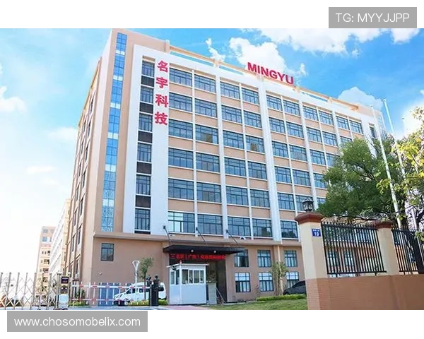 最新凯发体育官网平台下载手机版指南帮助玩家快速安装安全稳定游戏环境